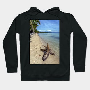 driftwood on the beach Hoodie